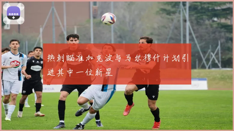 热刺瞄准加克波与马尔穆什计划引进其中一位新星